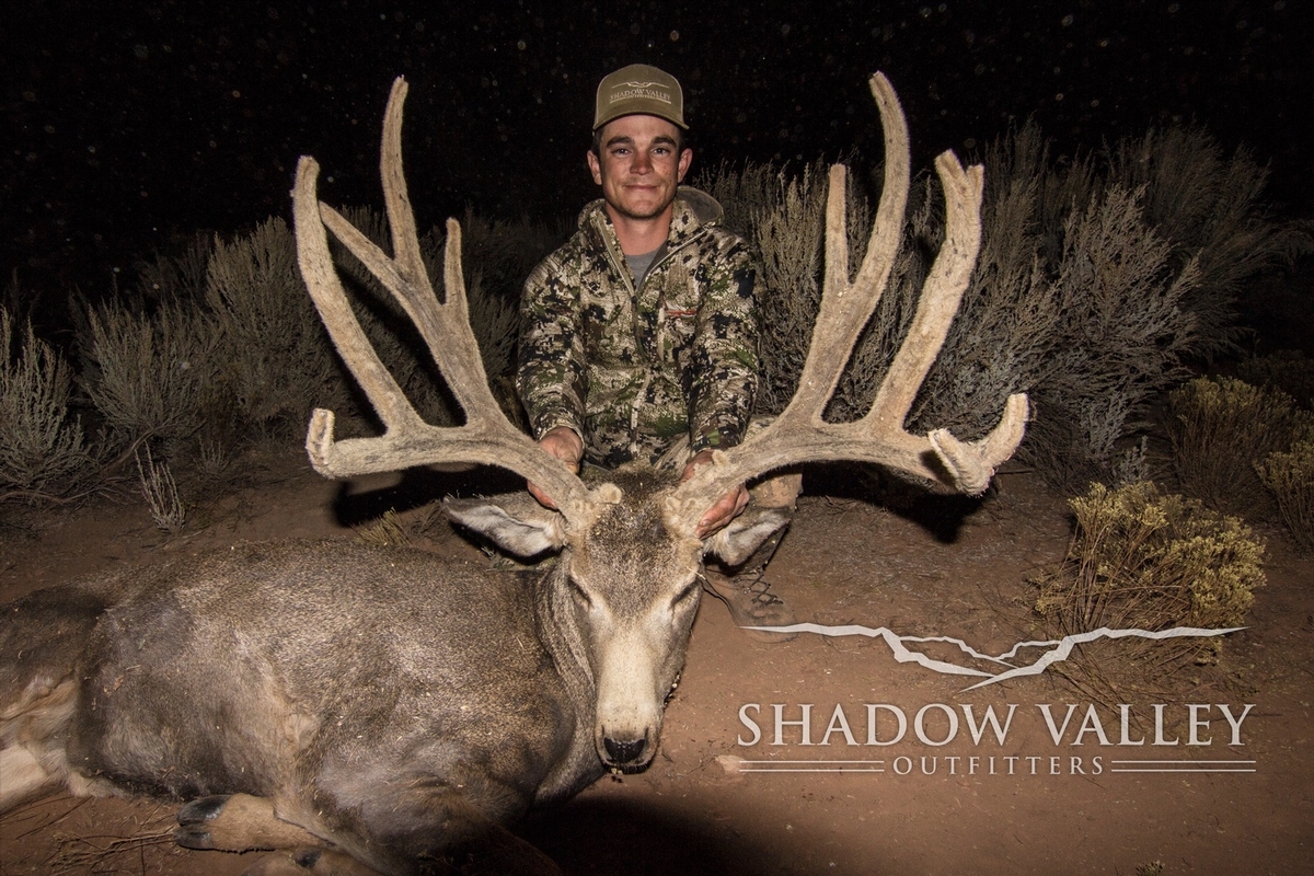 Guided Mule Deer Hunts